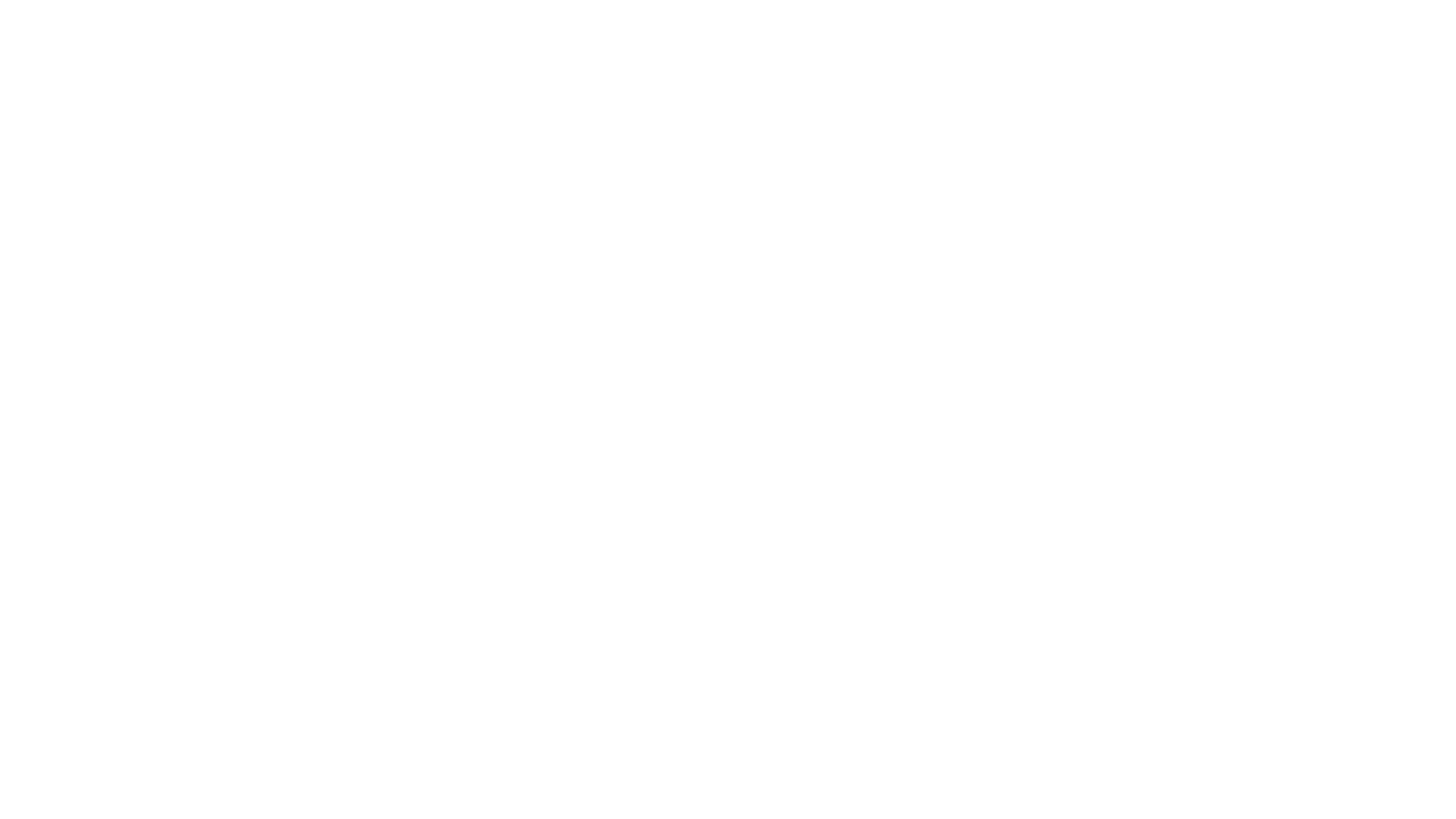 Primitive_logo (1)